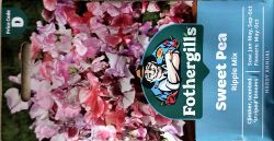 Sweet Pea Ripple Mix Seeds